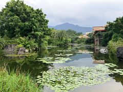 -广州从化都喜泰丽度假温泉酒店