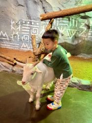 -Zoolung Zoolung动物主题公园(海信广场店)