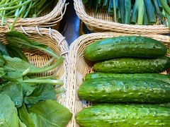 -钓鱼岛洗浴休闲会馆(卫星路店)