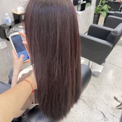-蚂蚁造型俱乐部