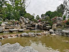 -东莞植物园