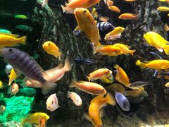 -太平洋海底世界