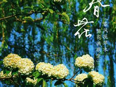 -北海公园