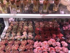 -KKV(深圳宏发大仟里店)