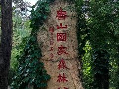 -鲁山国家森林公园