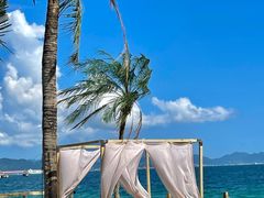 -精酿农场Brew Farm·沙漠绿洲餐厅