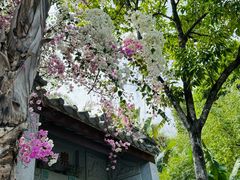 -深圳国际园林花卉博览园