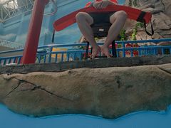 -青岛东方影都融创水世界