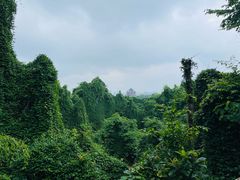 -吴山景区