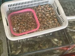 -崖口红树林海鲜餐厅