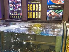 水产区-蟹之国·精品蟹料理(极地店)