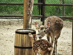 -南戴河国际娱乐中心