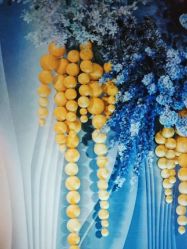 -广州纽伯利公关策划有限公司(邦华环球广场店)