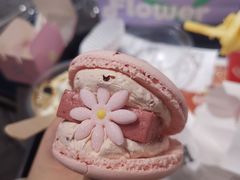 半熟花花马卡龙玫瑰双莓芝士味-好利来(旅顺世达店)