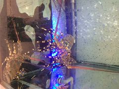 旅南活海鮮-旅南活海鲜-屏东(墾丁海鮮，海鮮餐廳，墾丁團體合菜，平價熱炒，墾丁熱炒店，活海鮮推薦，在地海鮮餐廳)