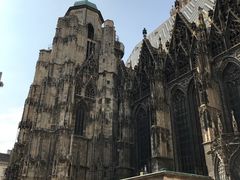 -斯蒂芬主教座堂(Stephansdom)