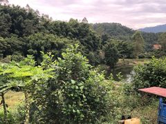 -天强农家菜馆