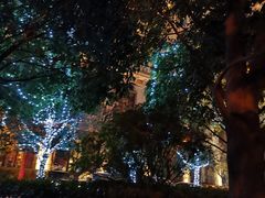 -上海浦东星河湾酒店