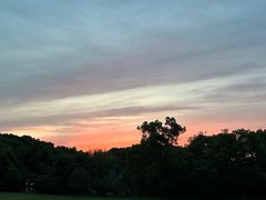 -昆山城市生态森林公园