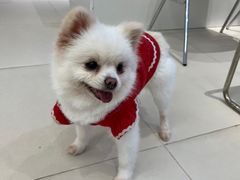 -怪兽屋·羊驼·猫咖·狗咖(俊华广场店)