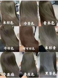 -YESIDO椰岛造型