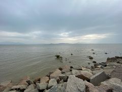 -深圳湾公园(南山区)