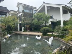 -广富林宰相府酒店·水云间