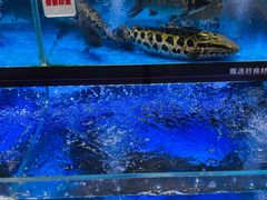 -永辉超市(嘉定宝龙广场店)