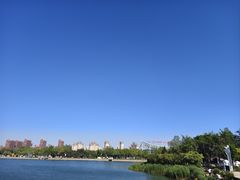 -天津金海湖