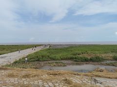 -南汇嘴观海公园