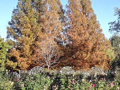 -国家植物园南园