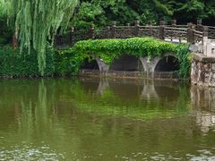 -水绘园