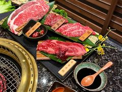 -老乾杯(深圳湾万象城店)