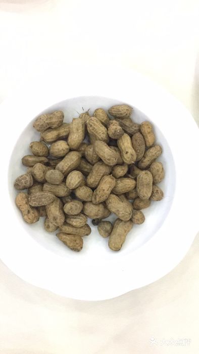 新苑酒家(嘉宾路店)图片