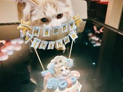 -百好乐宠物友好餐厅(朝外大街店)