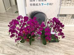 -固瑞齿科(国贸门诊店)