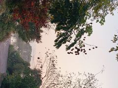 -长兴太湖图影湿地文化园