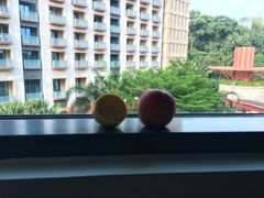 iphone_upload_pic-新加坡圣淘沙名胜世界迈克尔酒店