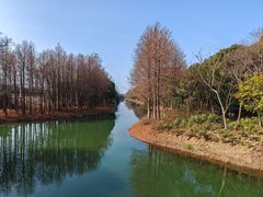 -贡湖湾湿地公园