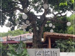 -泰堤坊(淡水体育馆店)