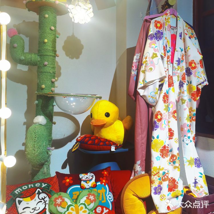 北京路撸宠圣地🦙可爱多羊驼俱乐部