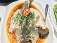 至潮飞鲈-至潮餐厅精致粤菜·活鲈鱼·走地鸡(珠江新城店)