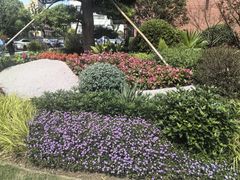 -上海交通大学医学院附属瑞金医院(总院)