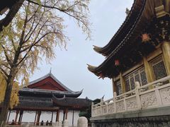 -上海东林寺(金山区)