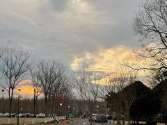 -黄海国家森林公园