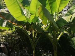 -南湖船菜大酒店
