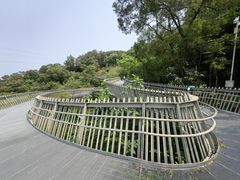 -福道
