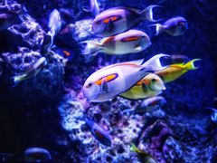 -成都浩海立方海洋公园