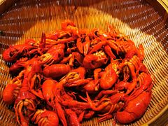 -嘉定凯悦·咖啡厅