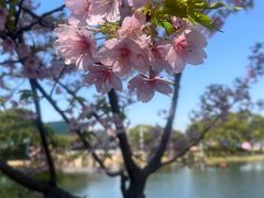 -新江湾城公园